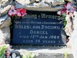 image of grave number 667424